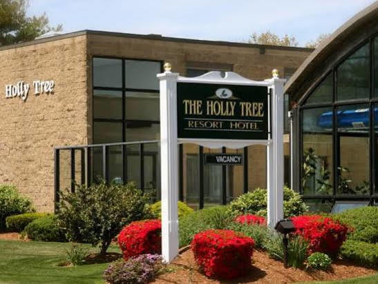 Holly Tree